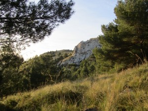 IMG_3705 (Medium)